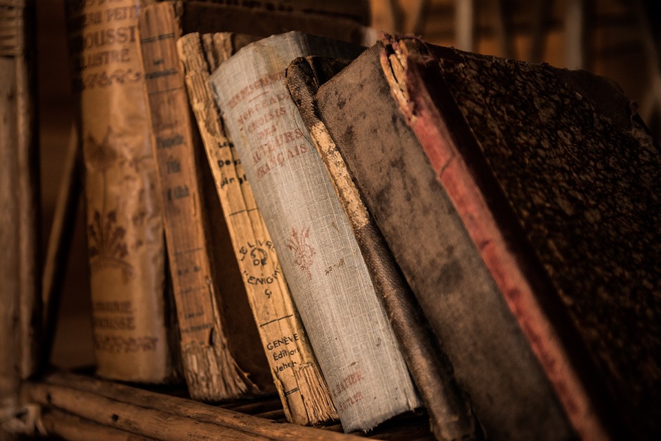 WG4_2219_65__oldbooks436498_960_720 WG4_2219_65__oldbooks436498_960_720